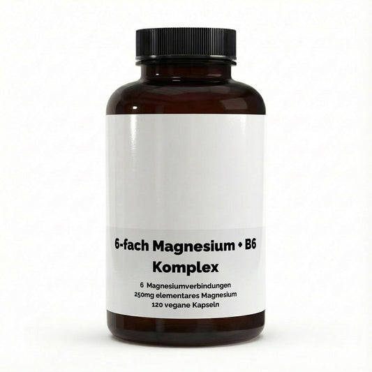 6‑fach Magnesium-Komplex – 120 Kapseln | Magnesium aus sechs Verbindungen