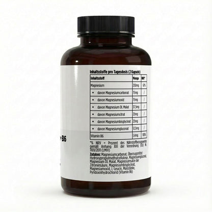 6‑fach Magnesium-Komplex – 120 Kapseln | Magnesium aus sechs Verbindungen